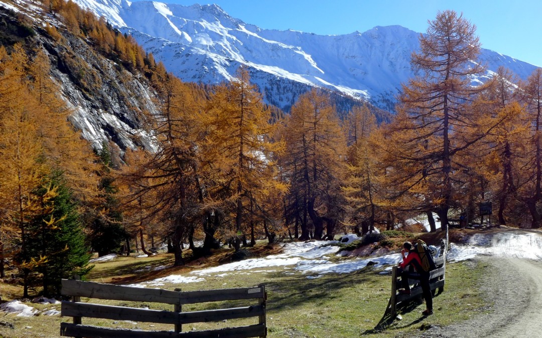 December 11. – A HEGYEK NEMZETKÖZI NAPJA