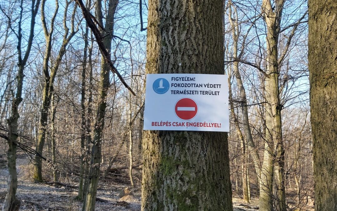 Sziklamászó helyek látogatása – természetvédelmi felhívás