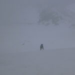 Hegymászóválogatott: Pitztaler Eisexpress 2021