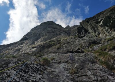 MNHV Vadorzó-kilátó