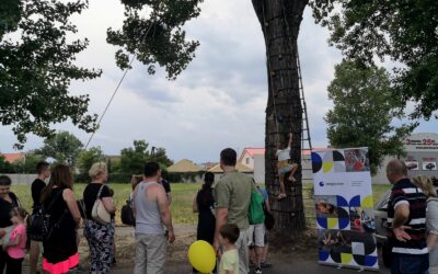 Falmászás a Múzeumok Éjszakáján